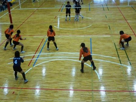 �o���[���q