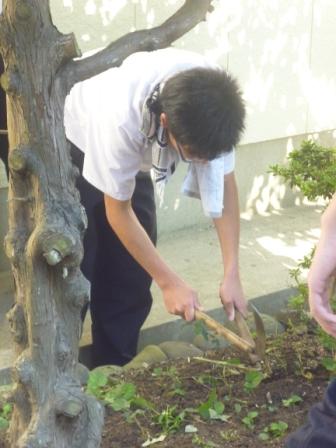 �{�����e�B�A