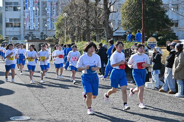 �Z�����[�h���[�X