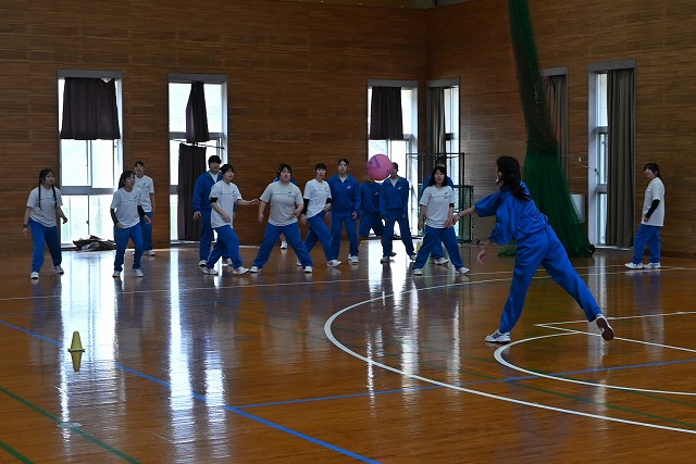 �h�b�W�{�[��