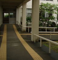 写真 渡り廊下の点字ブロックが敷いてある様子。