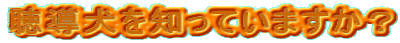 mĂ܂H