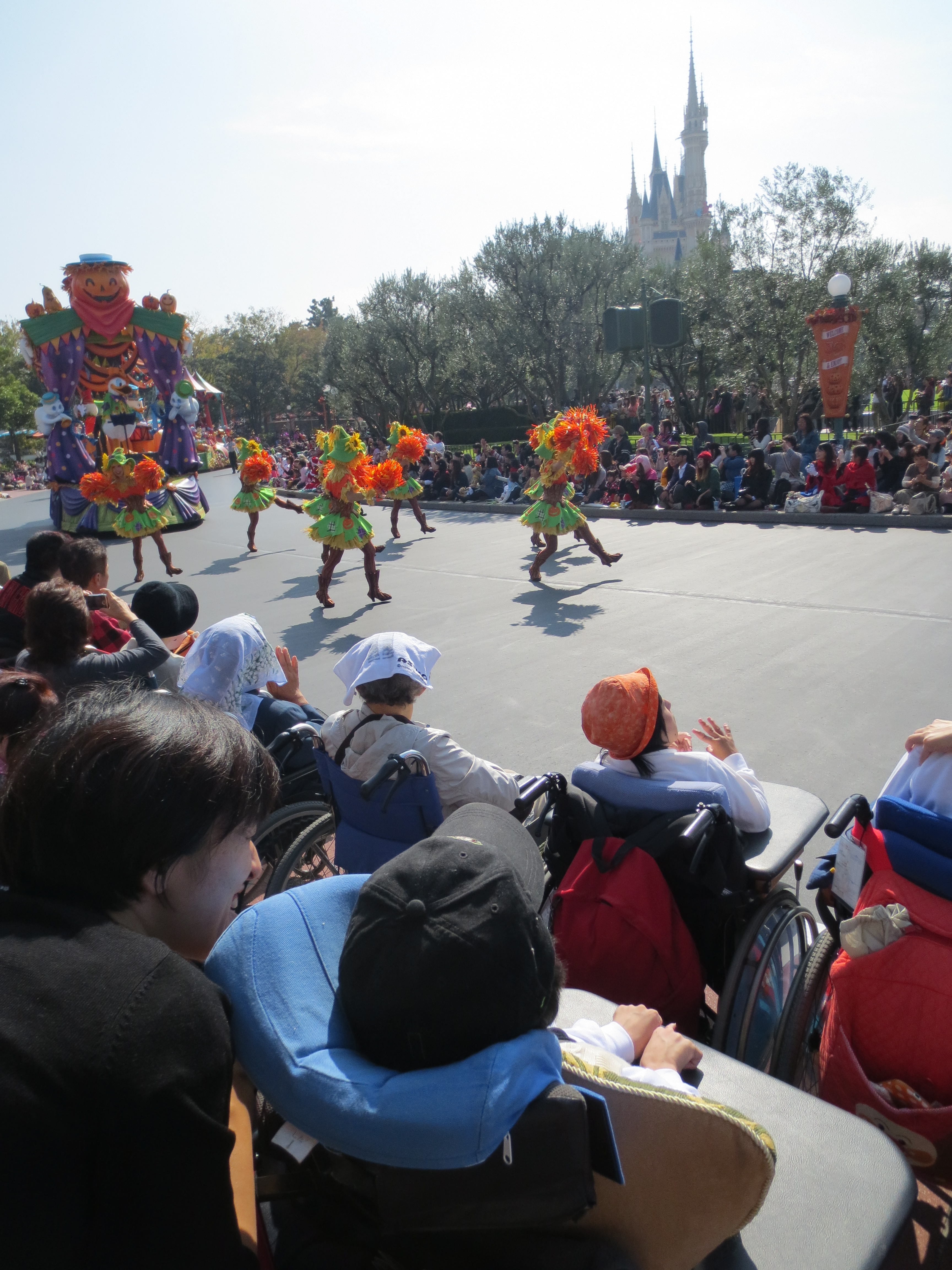 http://www.news.ed.jp/sakuragaoka-ss/ryokou/syasin/image005.jpg