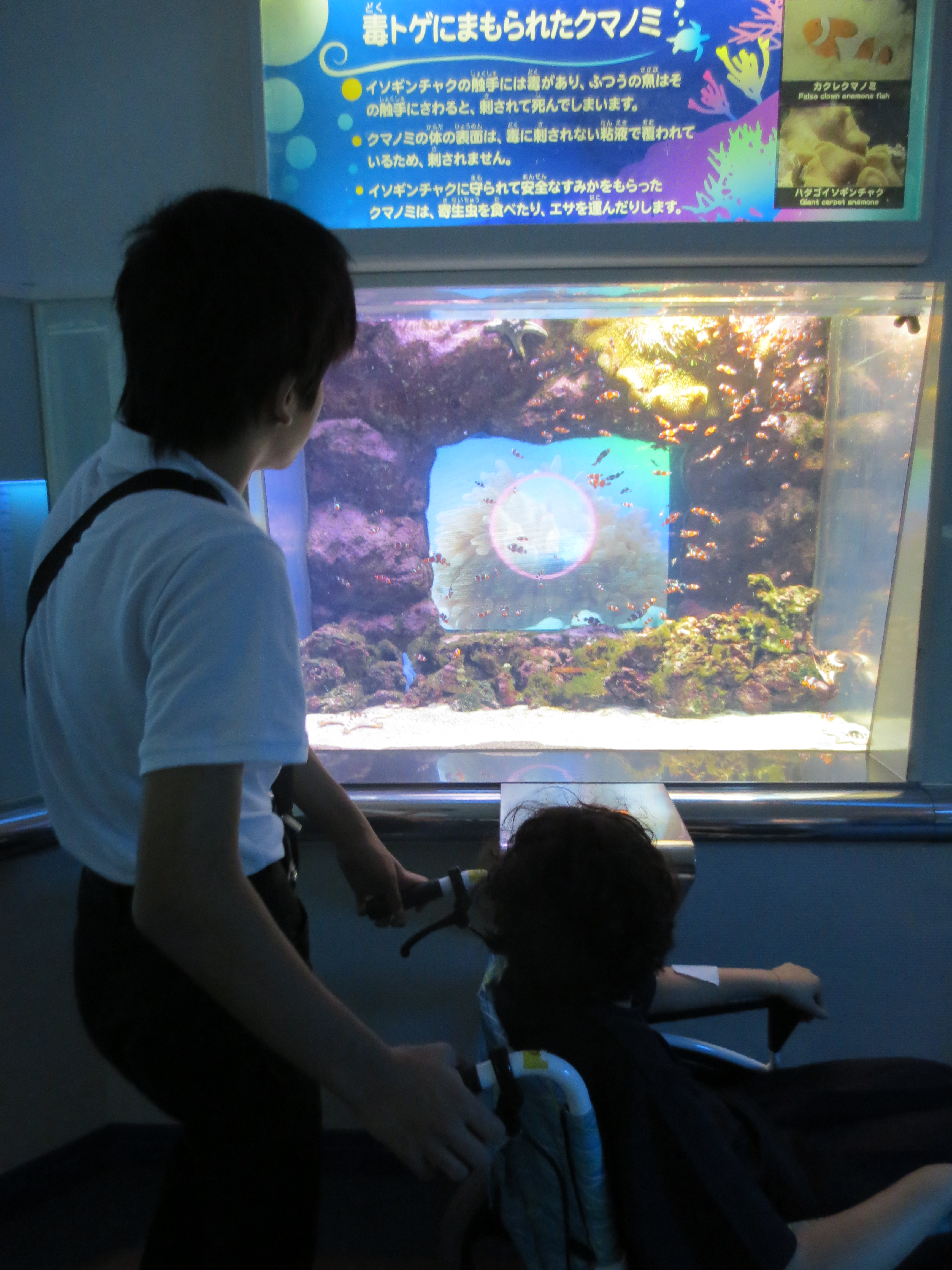 http://www.news.ed.jp/sakuragaoka-ss/ryokou/syasin/image005.jpg