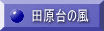 田原台の風